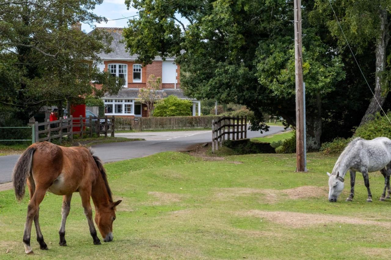 Surrey Lodge Brockenhurst Eksteriør bilde